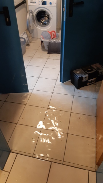 20210815_203148 groß.jpg